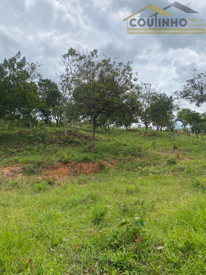 WhatsApp Image 2026-01-29 at 20.11.47 (3).jpeg